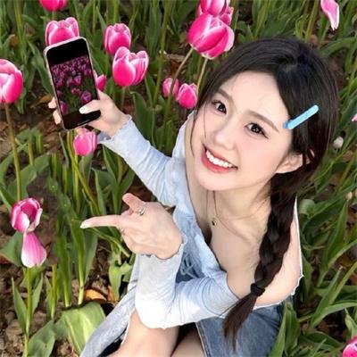 北方的金丝雀